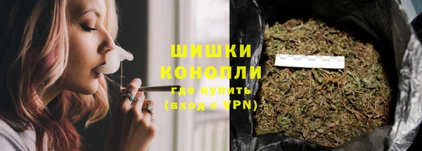 сатива Медногорск