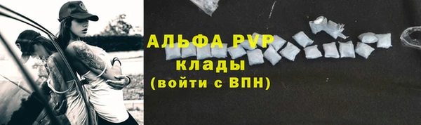 сатива Медногорск