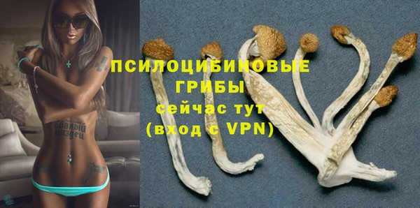 альфа пвп Медвежьегорск