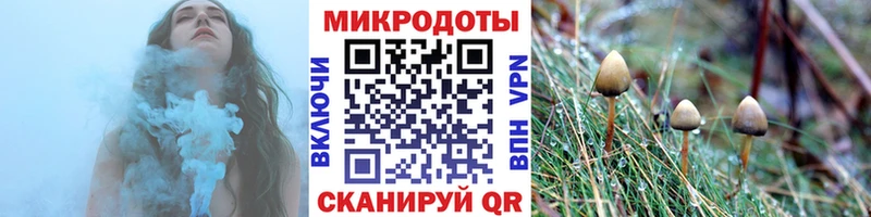 Галлюциногенные грибы GOLDEN TEACHER  где купить наркоту  Мостовской 
